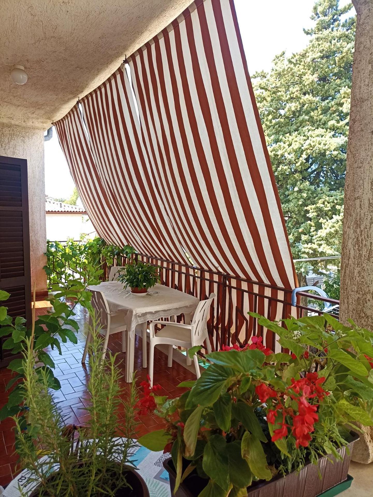 Apartments Villa Laura Pula Zewnętrze zdjęcie