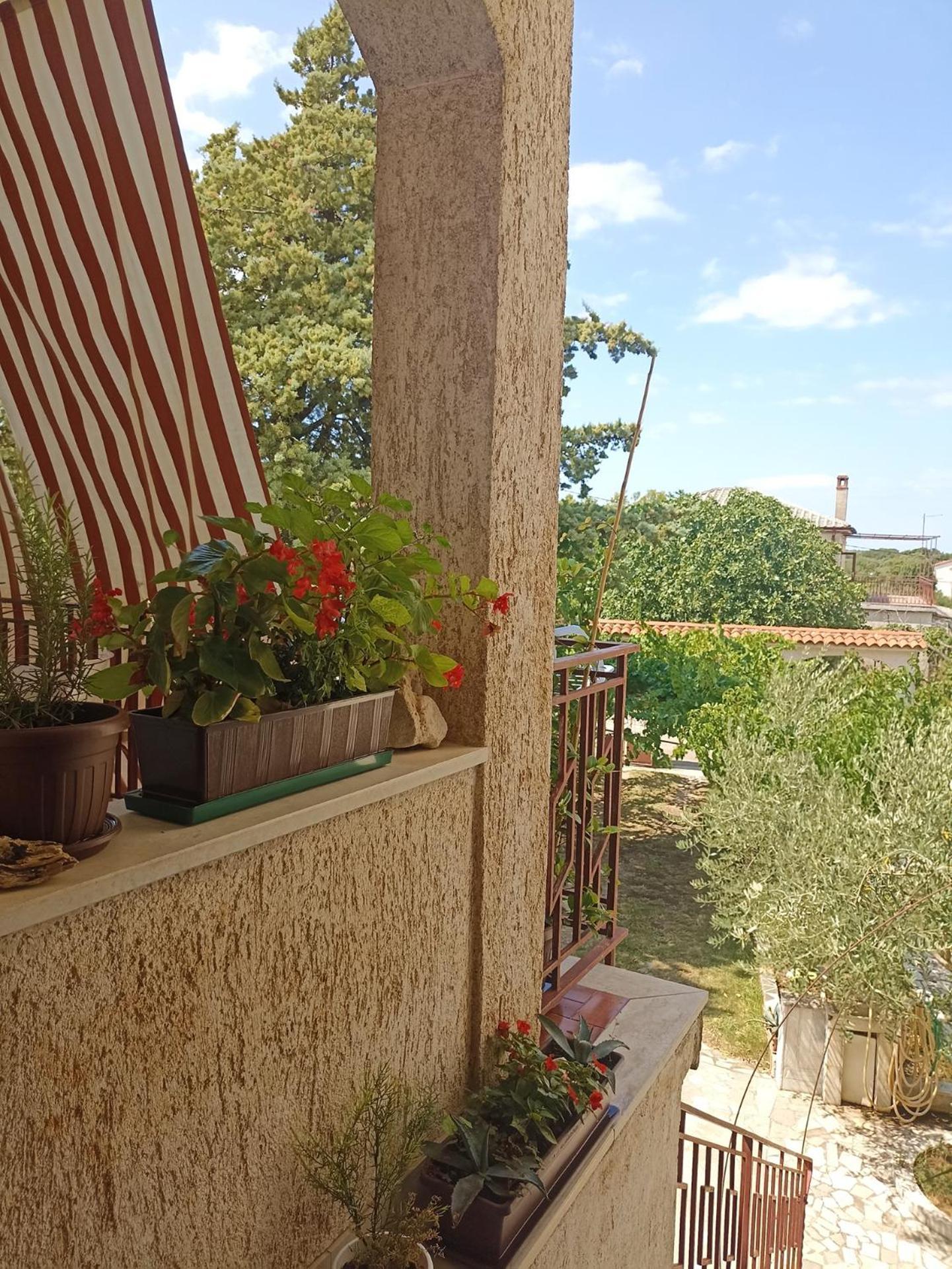 Apartments Villa Laura Pula Zewnętrze zdjęcie