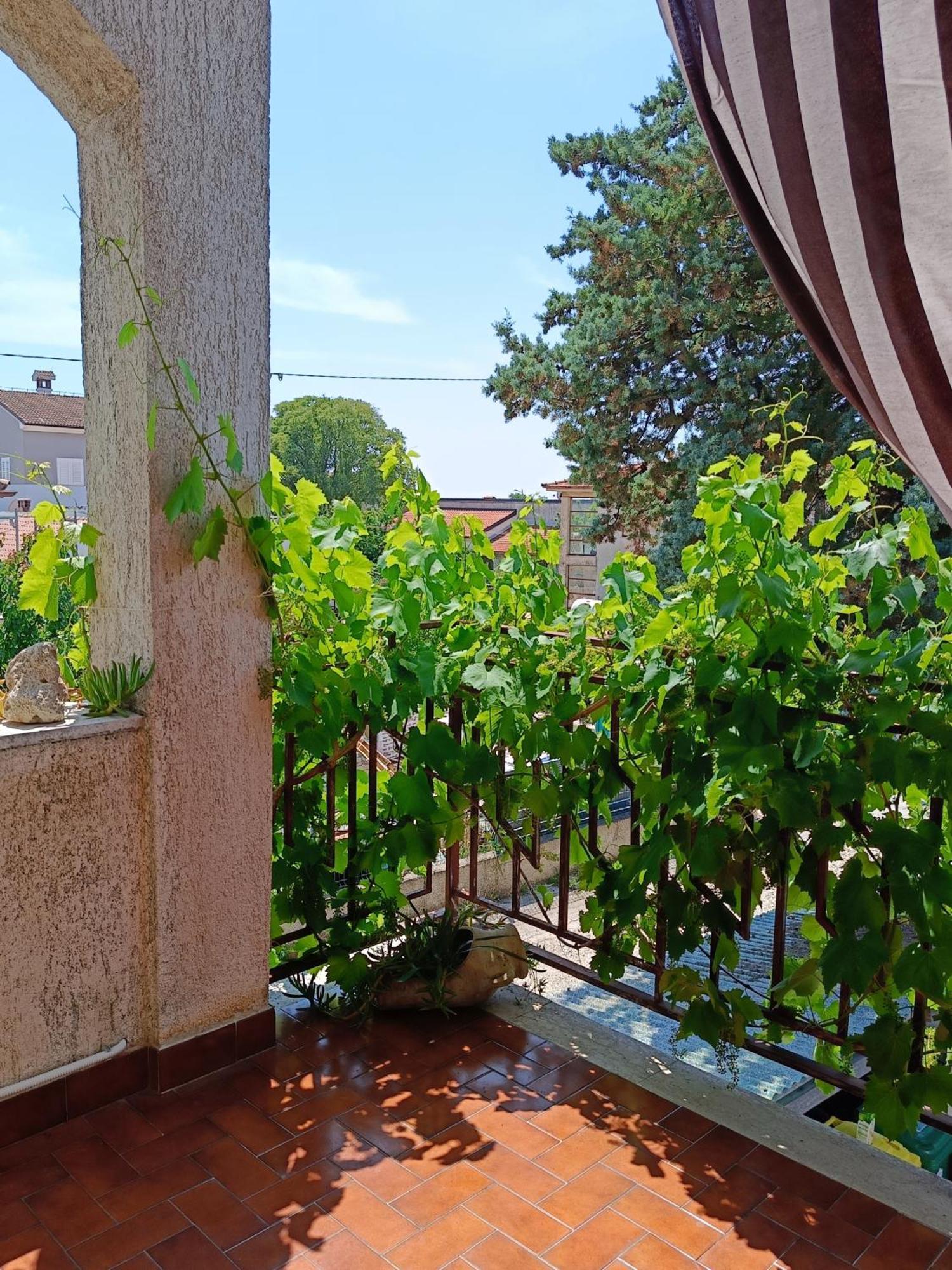 Apartments Villa Laura Pula Zewnętrze zdjęcie