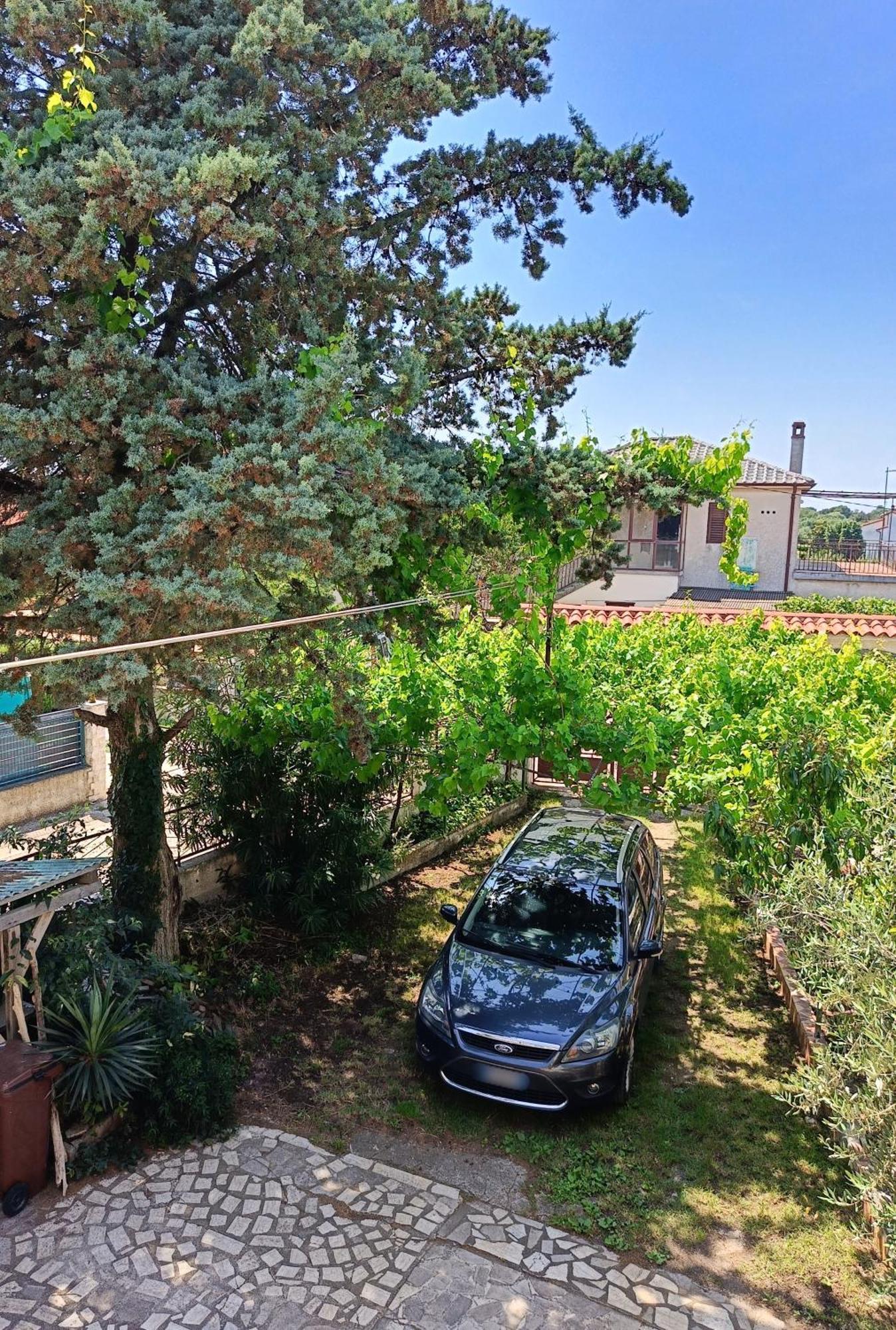 Apartments Villa Laura Pula Zewnętrze zdjęcie
