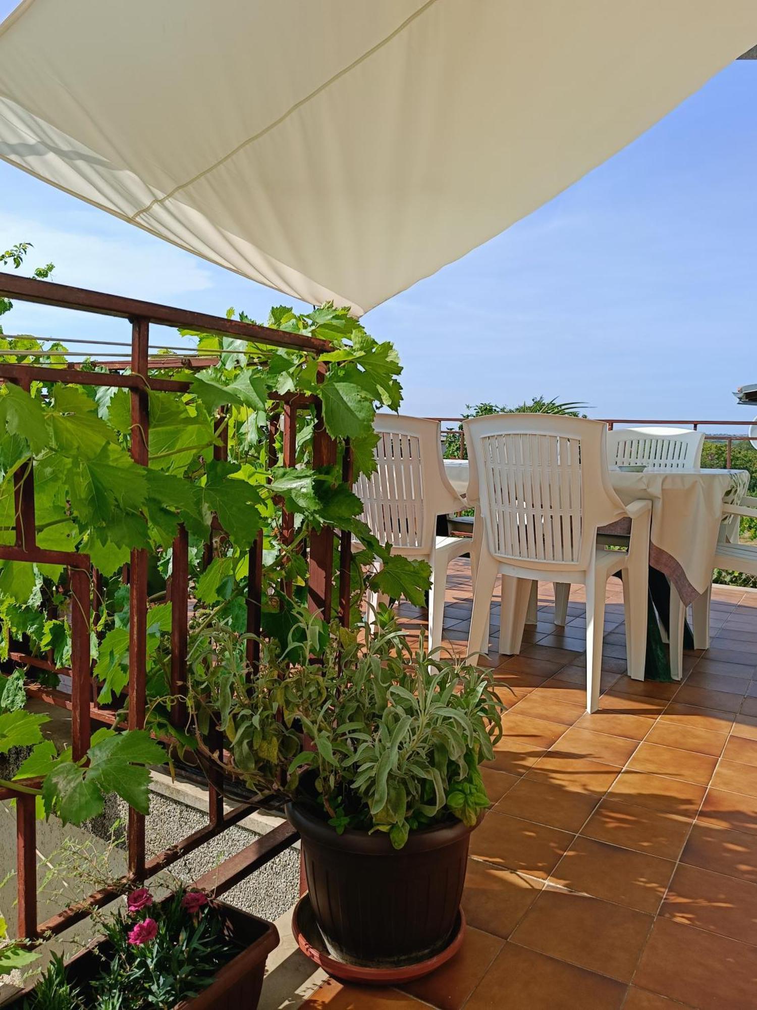 Apartments Villa Laura Pula Zewnętrze zdjęcie