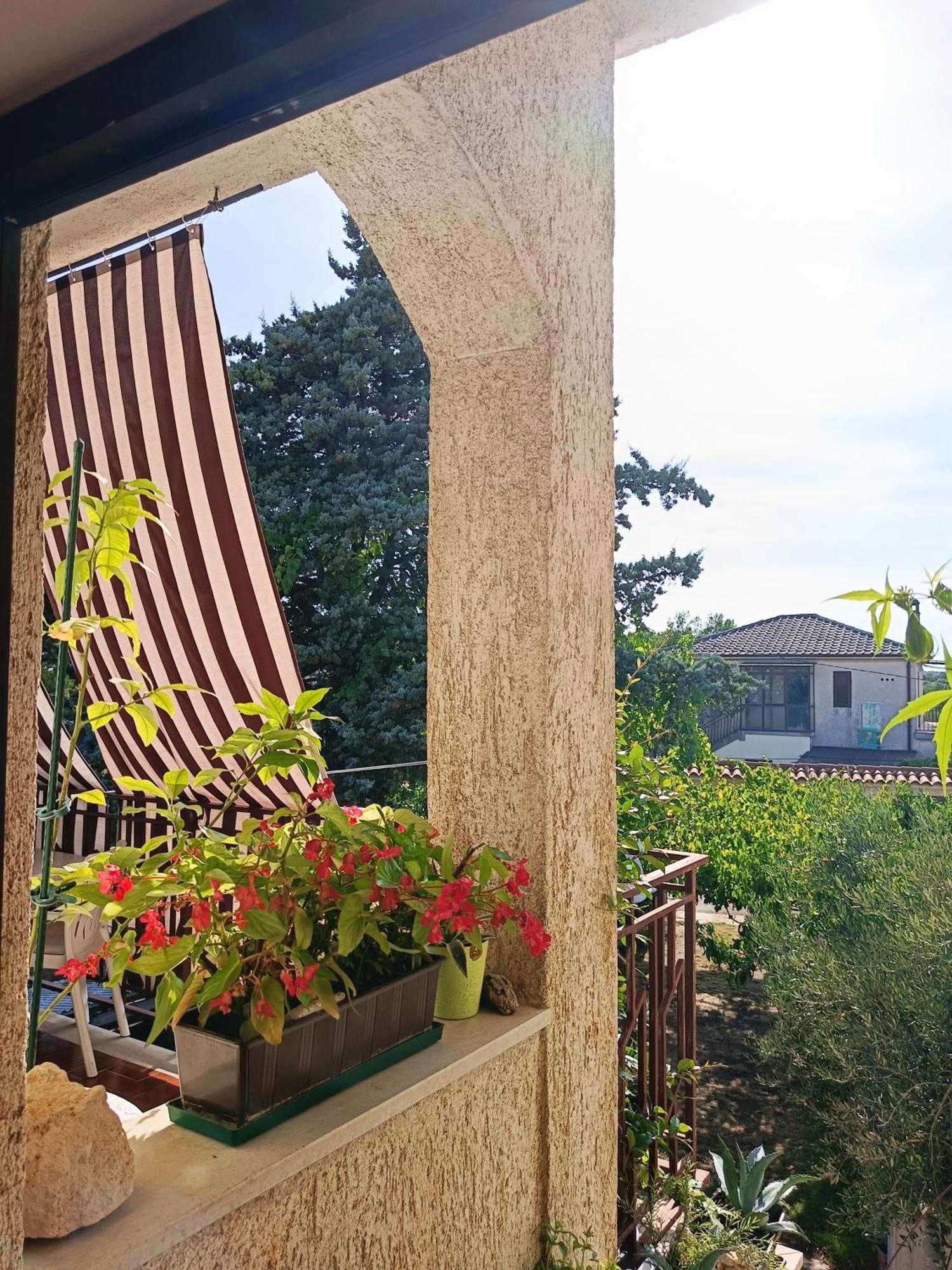 Apartments Villa Laura Pula Zewnętrze zdjęcie